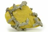 Golden Pyrite on Limonite Clay - Pakistan #283738-1